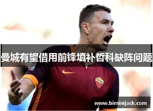 曼城有望借用前锋填补哲科缺阵问题